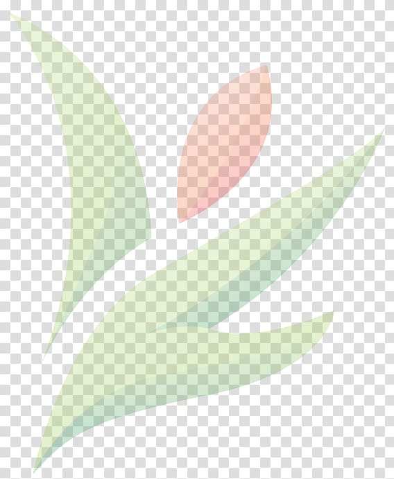 Petal Product design Graphics Desktop Computer, skin problems transparent background PNG clipart