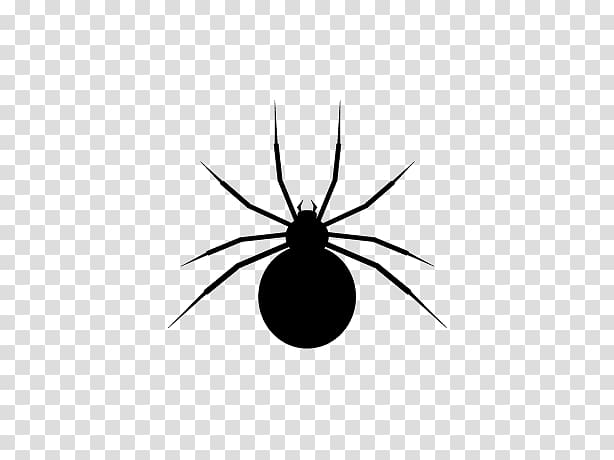 Insect Black and white Pattern, Spider Web Icon transparent background PNG clipart