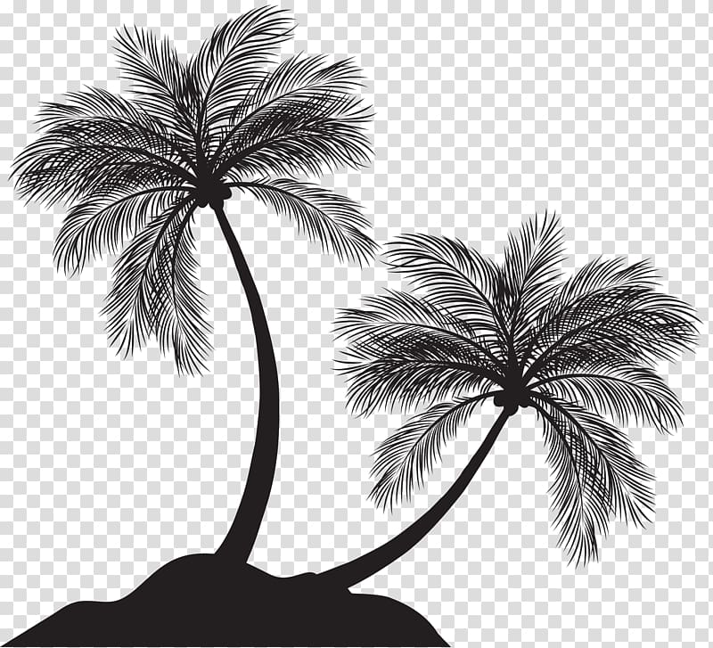 silhouette of coconut trees, Arecaceae Silhouette , Two Palm Trees Silhouette transparent background PNG clipart