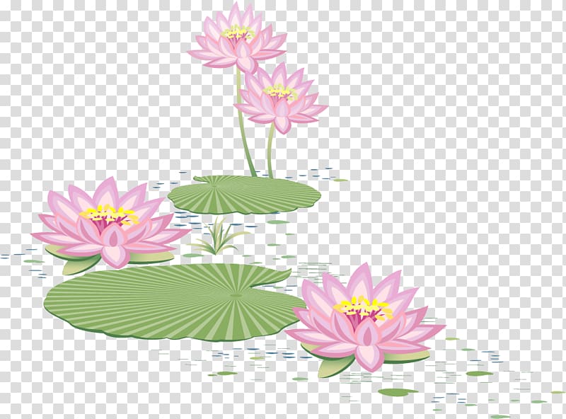 pink flowers , Pond Euclidean , lotus pond transparent background PNG clipart