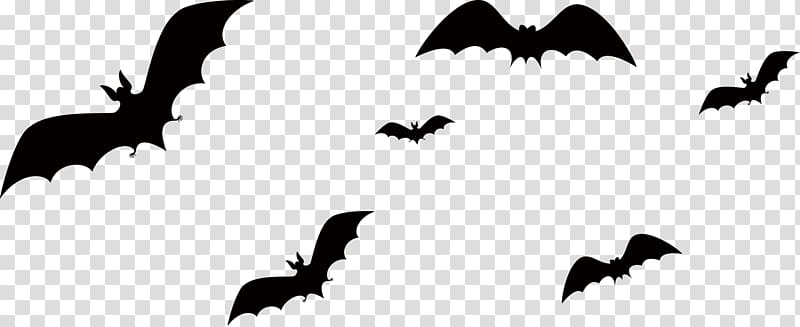 Bat Halloween, bat transparent background PNG clipart