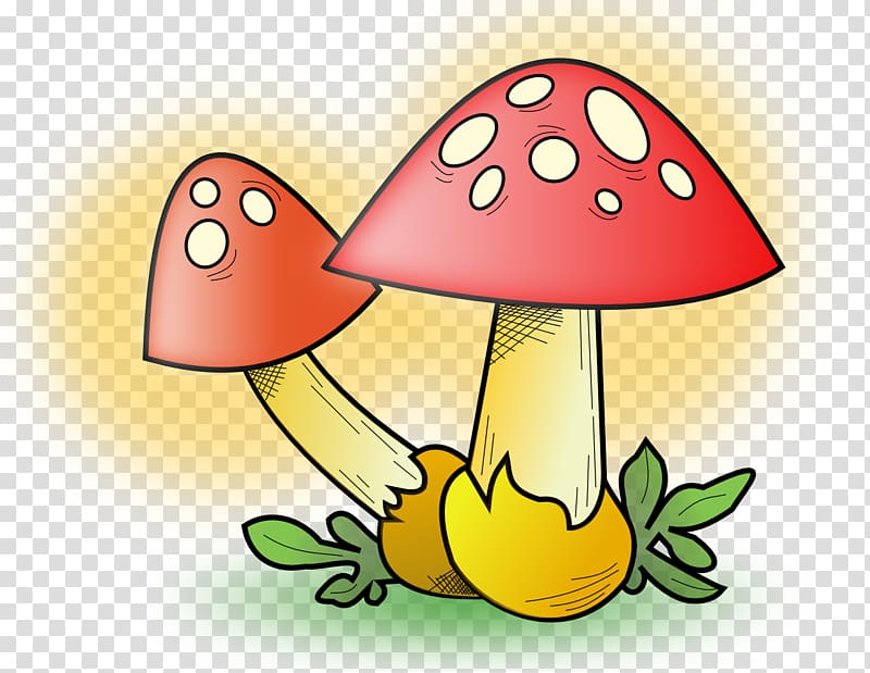Common mushroom , fungi transparent background PNG clipart
