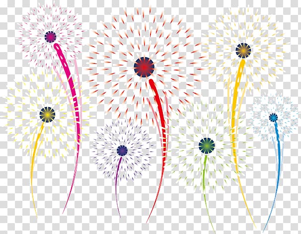 Fireworks Chinese New Year, Fireworks transparent background PNG clipart