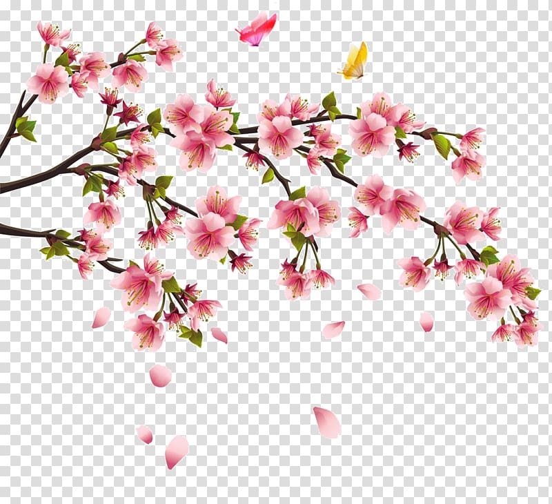 China Cherry blossom Tattoo Flower, China transparent background PNG clipart
