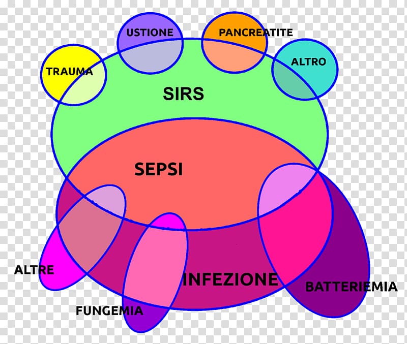 Systemic inflammatory response syndrome Sepsis Infection Bacteremia Disease, cochlicella acuta transparent background PNG clipart