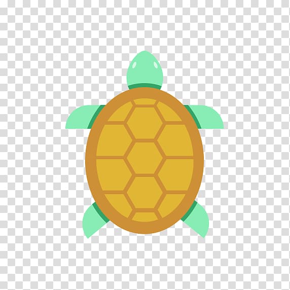 Common Iguanas Pet Eastern long-necked turtle , Exotic Pet transparent background PNG clipart