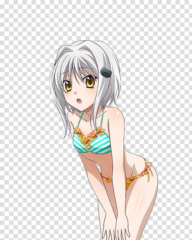 High School DxD Anime Mangaka Drawing, Anime transparent background PNG clipart