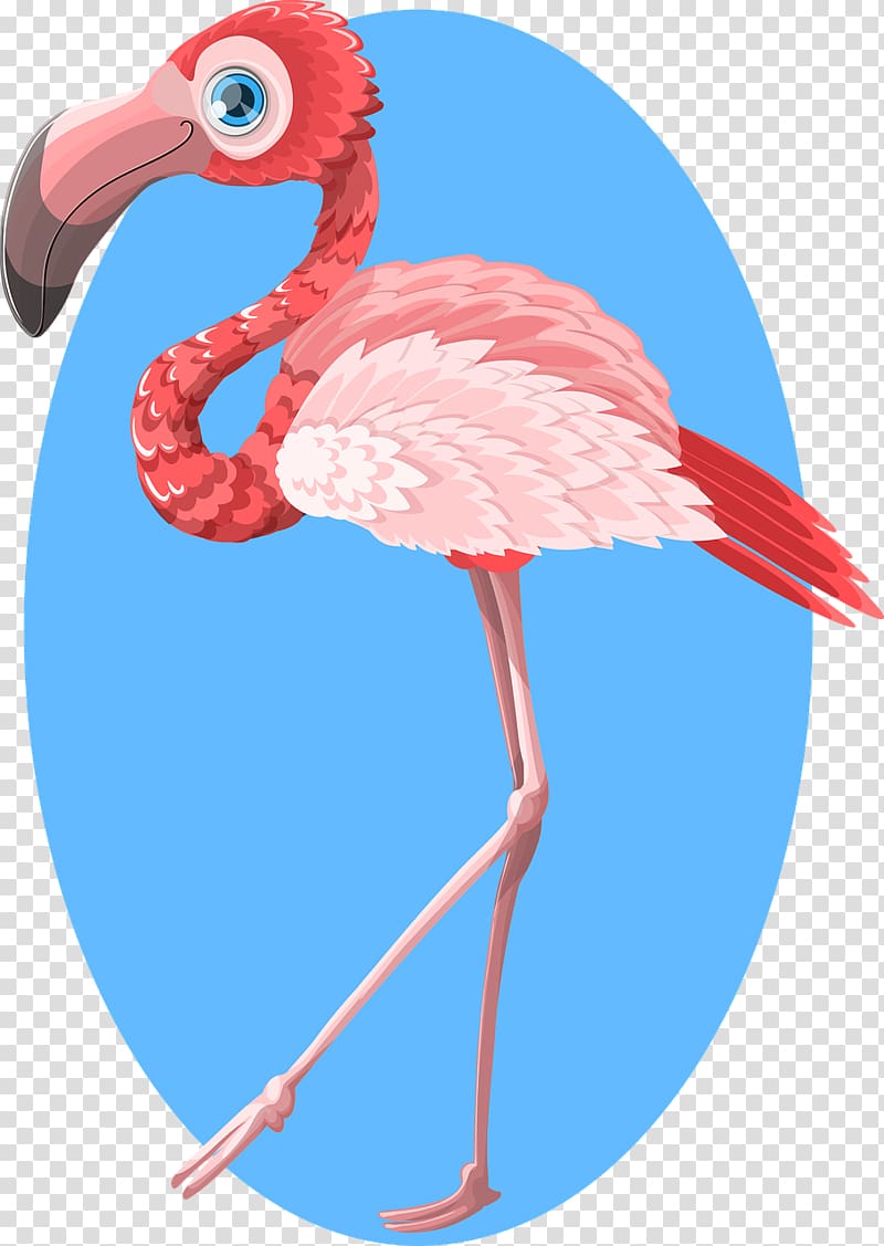 Flamingo Paper , Red ostrich transparent background PNG clipart