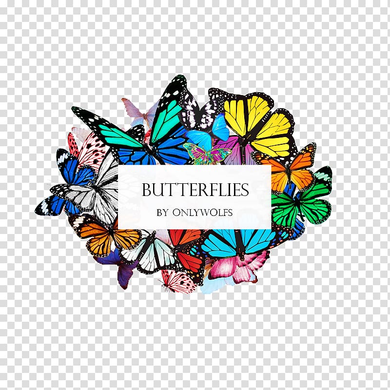 Butterfly , Qutb Minar transparent background PNG clipart