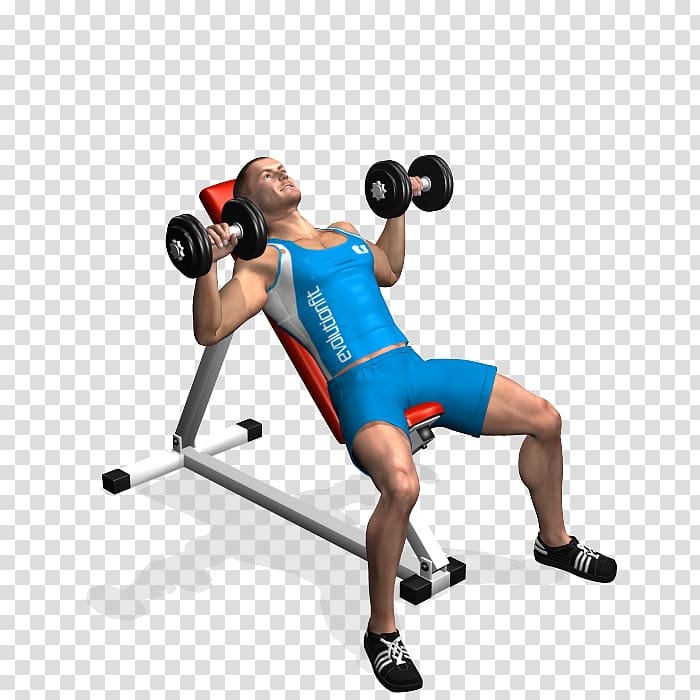 Weight training Bench press Barbell Dumbbell, barbell transparent background PNG clipart