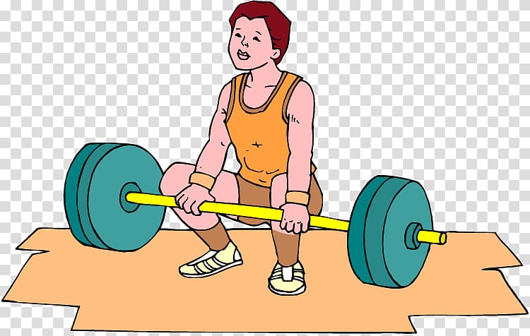 Barbell Olympic weightlifting Weight training Teacher Linear function, reduce fat transparent background PNG clipart