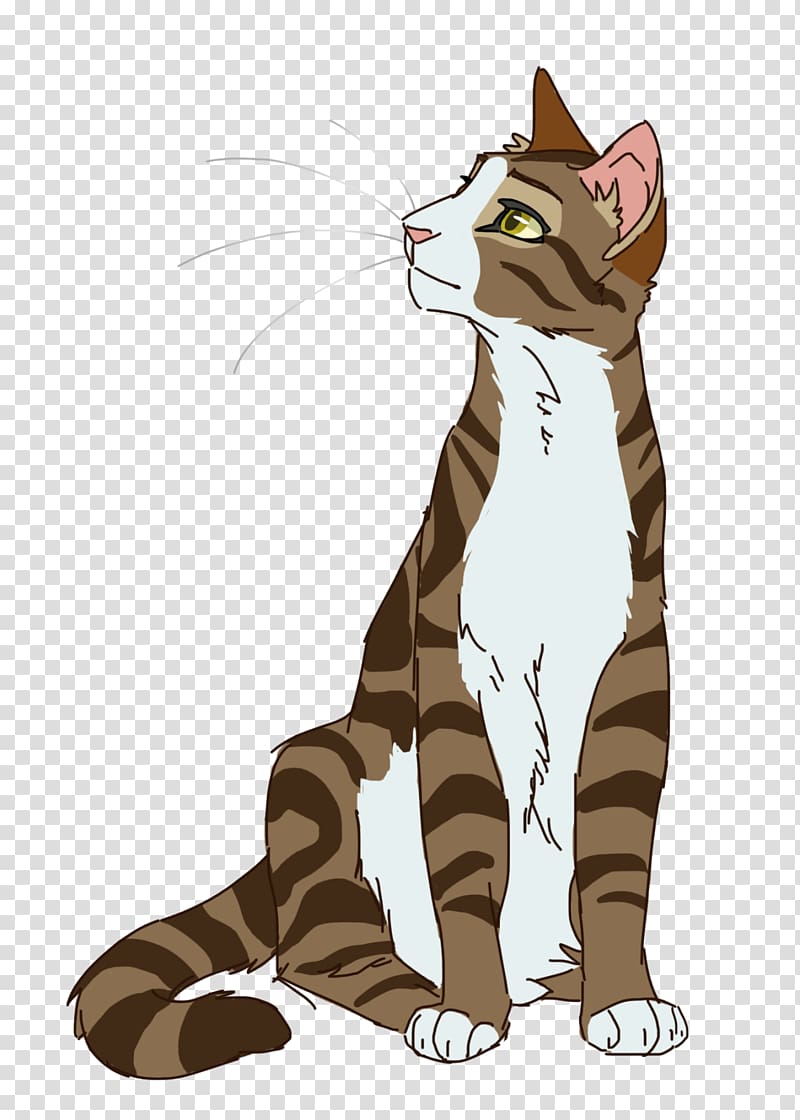 Cats of the Clans Warriors Leafpool Teller of the Pointed Stones, cats transparent background PNG clipart