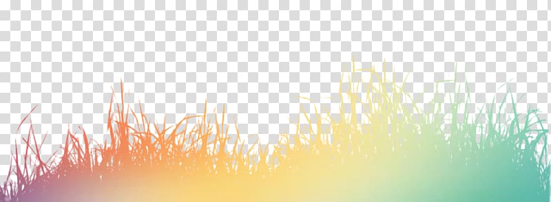Light , Color grass silhouette transparent background PNG clipart