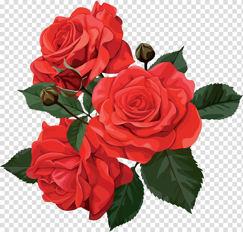 Flower bouquet Rose , rose transparent background PNG clipart