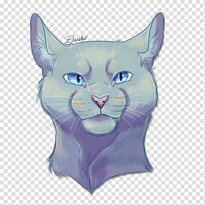 Whiskers Cat Kitten ThunderClan Leafpool, Cat transparent background PNG clipart