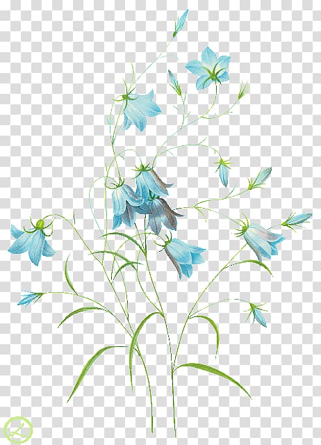 Common Bluebell Harebell Watercolor painting , others transparent background PNG clipart