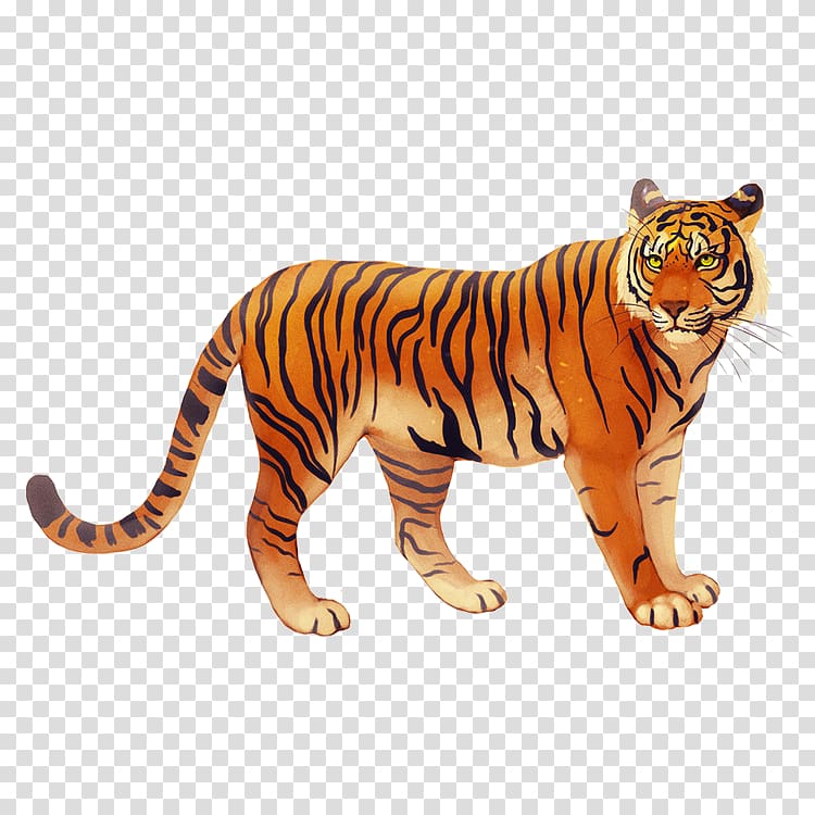 Javan tiger Bali tiger I Ching Lion, Tiger Creative transparent background PNG clipart