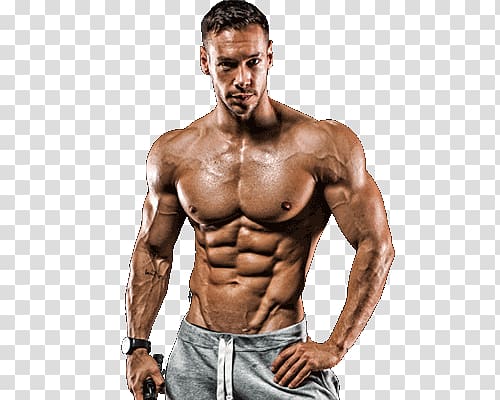 Bodybuilding transparent background PNG clipart