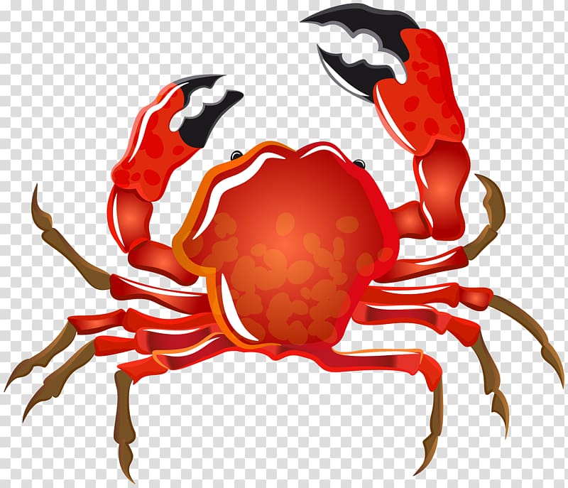 red crab , Soft-shell crab Seashell Hermit crab, Crab transparent background PNG clipart