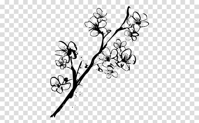 Drawing Cherry blossom Sketch, flower sketch transparent background PNG clipart