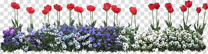 Flower , flower transparent background PNG clipart | HiClipart