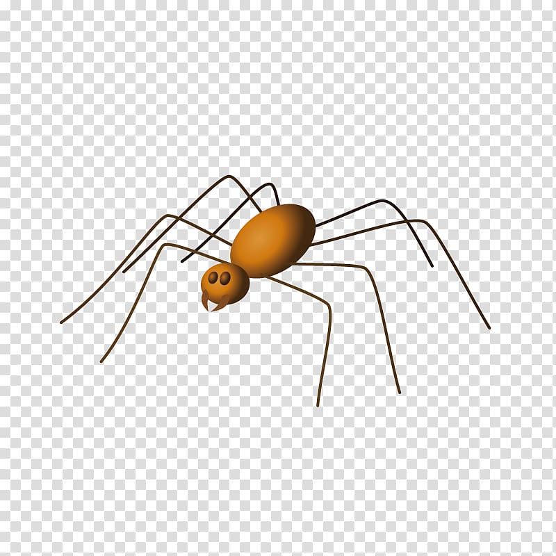 Spider Arachne , spider transparent background PNG clipart