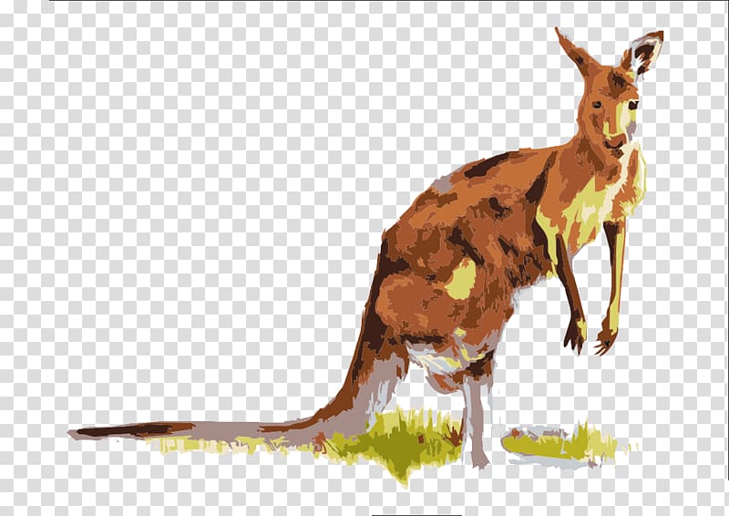 Boxing kangaroo Macropodidae, Painted Kangaroo material transparent background PNG clipart