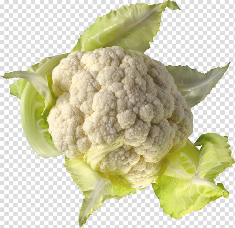 Cabbage transparent background PNG clipart