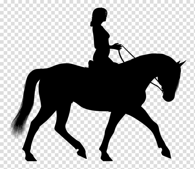 Horse&Rider Equestrian English riding , horse transparent background PNG clipart