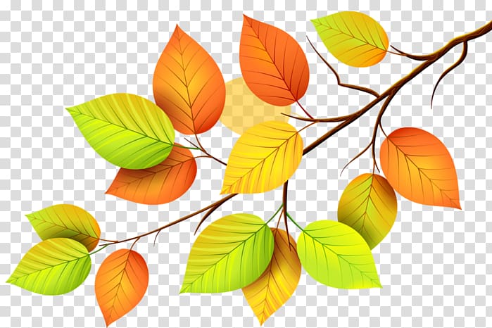 Paper Autumn Leaves Leaf, autumn leaves transparent background PNG clipart