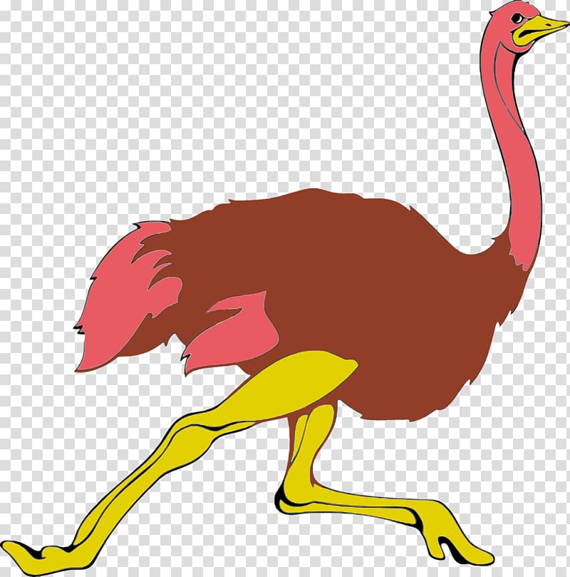 Common ostrich Pixabay , Running ostrich transparent background PNG clipart