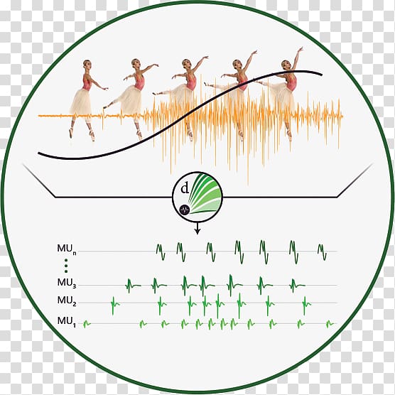 Electromyography Sensor Company Subvocal recognition Circle, advanced individual award transparent background PNG clipart