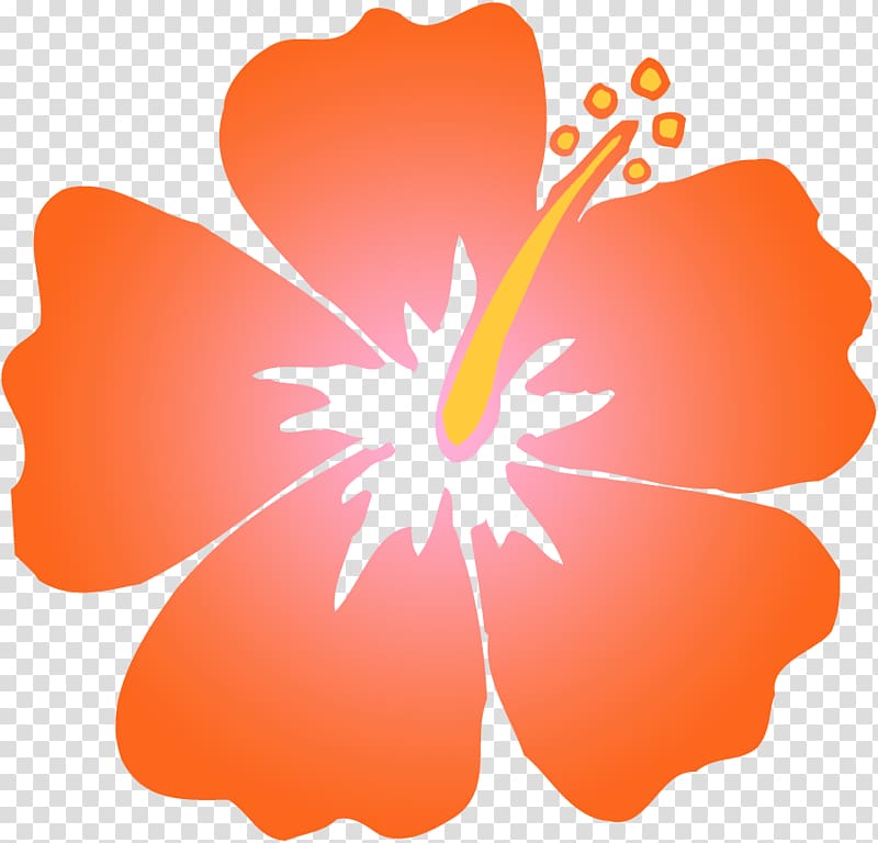 Hibiscus schizopetalus Hawaiian hibiscus Orange , Orange Hibiscus transparent background PNG clipart