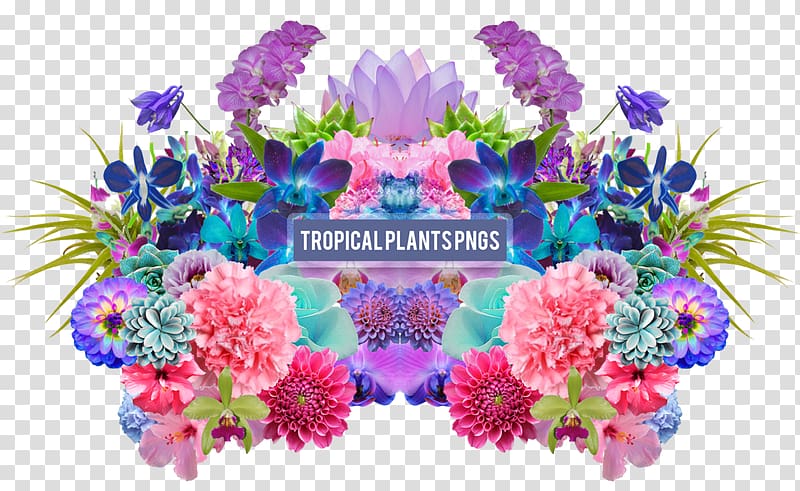 Desktop Floral design Aesthetics, drawing summer tropical plants transparent background PNG clipart