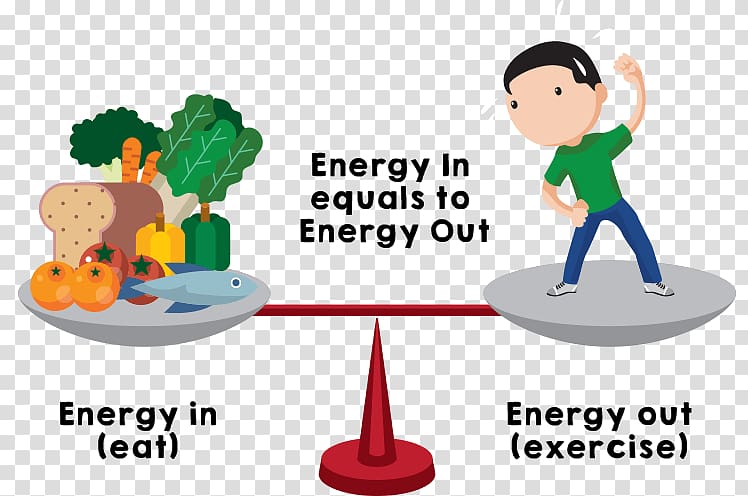 Calorie Basal metabolic rate Energy homeostasis , balanced nutrition transparent background PNG clipart