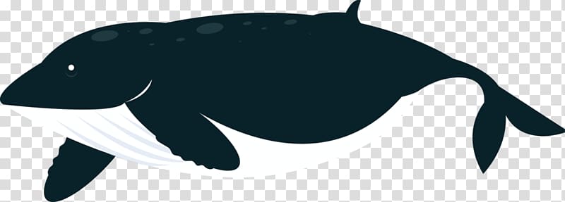 Marine mammal Ocean Sperm whale , whale transparent background PNG clipart