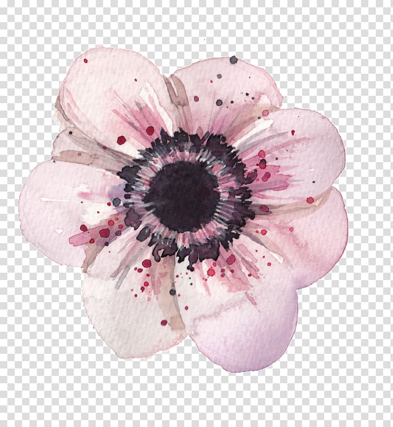 pink and black anemone flower illustration, Flower Anemone Watercolor painting Drawing, watercolor flower transparent background PNG clipart