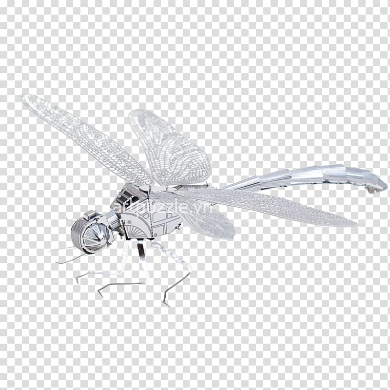 Dragonfly Insect Butterfly Wing Butterflies and moths, chuồn chuồn transparent background PNG clipart