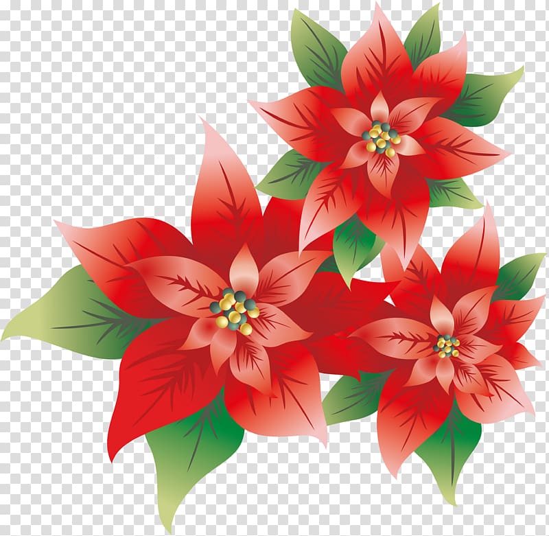 Christmas , burgundy flowers transparent background PNG clipart