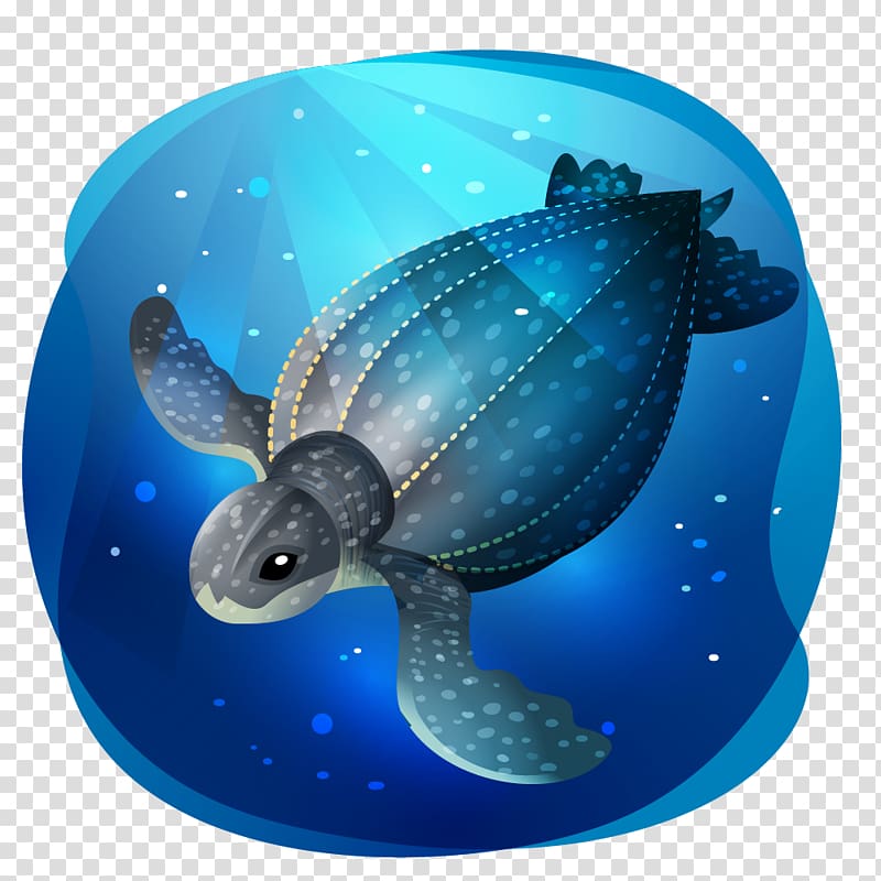 Loggerhead sea turtle Leatherback sea turtle Mexico, turtle transparent background PNG clipart