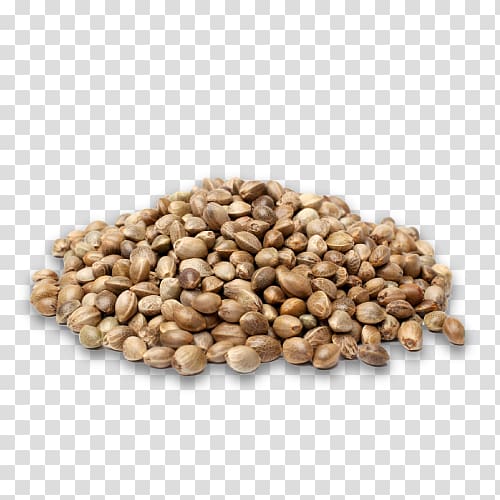 Hemp oil Cannabis Seed Health, cannabis transparent background PNG clipart