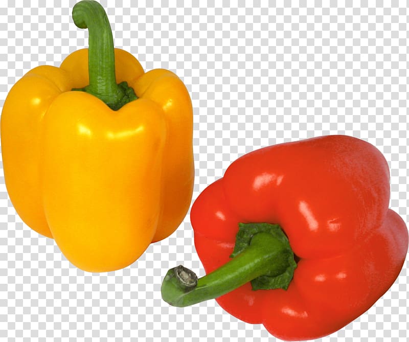 Bell pepper Stuffing Vegetable Chili pepper, Pepper transparent background PNG clipart