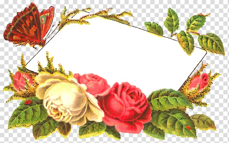 Floral design Label Digital scrapbooking Butterfly, antique transparent background PNG clipart