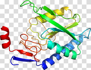 Line Point , line transparent background PNG clipart thumbnail