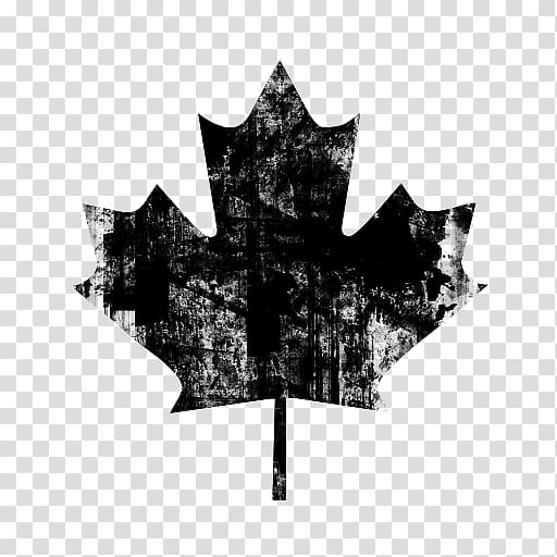 Flag of Canada Maple leaf, maple leaf background transparent background PNG clipart