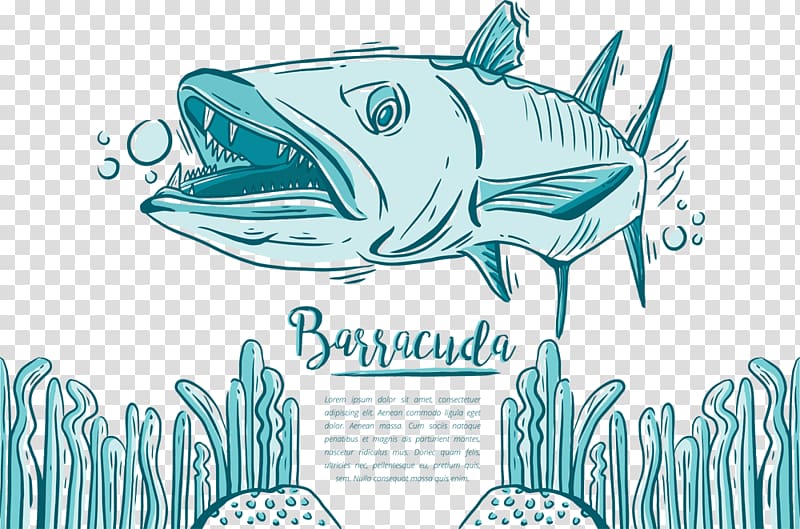 Fish, Sharks Underwater World transparent background PNG clipart