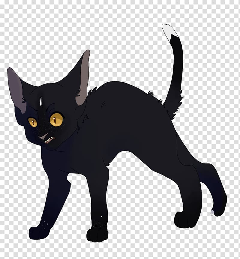 Black cat Kitten Domestic short-haired cat Whiskers, kitten transparent background PNG clipart