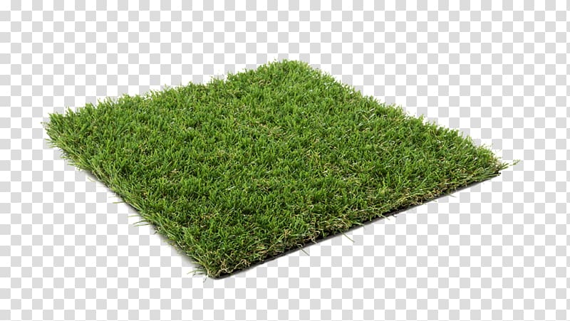 Artificial turf Lawn Carpet Grass Terrace, magnolia transparent background PNG clipart