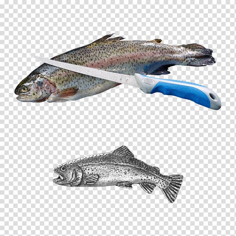 Hunting Fishing Askari Salmon Fürst-Pless-Horn, Fishing transparent background PNG clipart