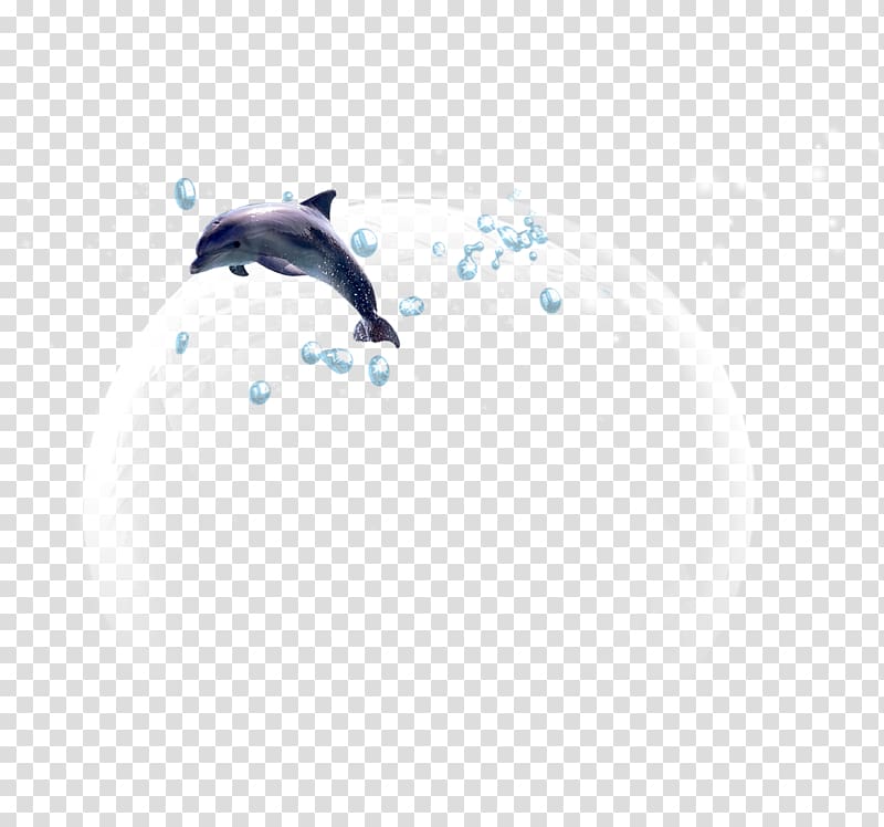 Sky Animal Pattern, Blister dolphin transparent background PNG clipart